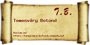 Temesváry Botond névjegykártya