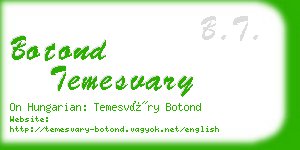 botond temesvary business card